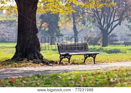 Bench In The Park
