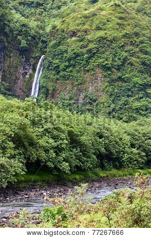 Tahiti. Mountain river and fall