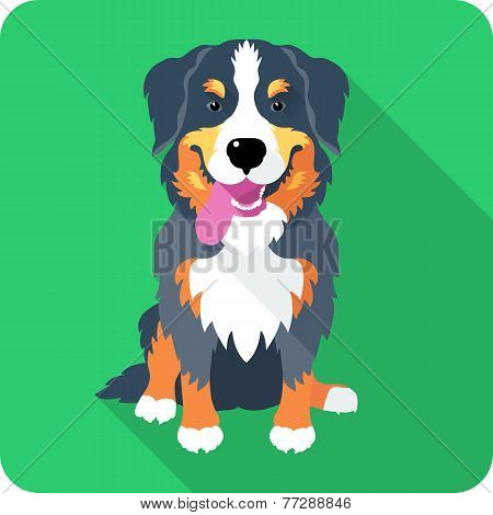 Bernese Mountain Dog Dog Icon Flat Design