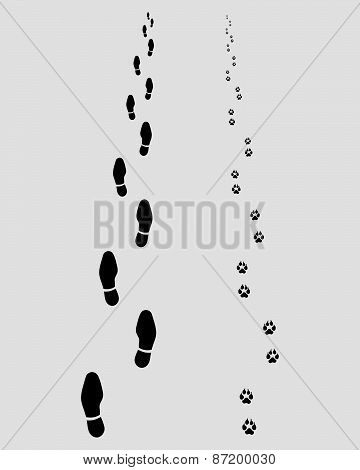 Footprints