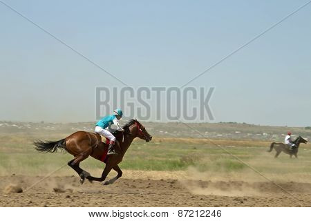 Horse races
