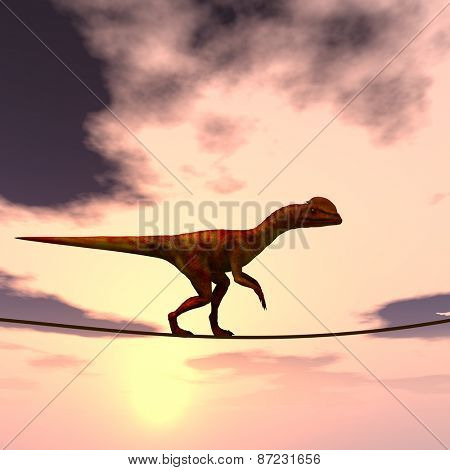 Concept or conceptual abstract business metaphor as wild heavy dinosaurus balancing on rope over sunset sky background