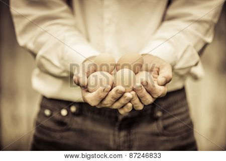 Closeup Of Farmer Holding Eggs