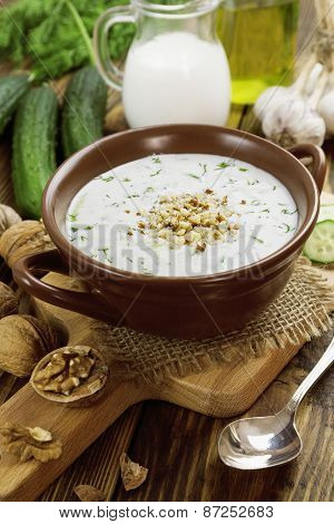 Tarator, Bulgarian Sour Milk Soup