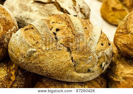 Fresh Bread