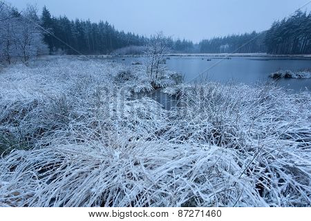 Snow And Frost On Wild Forest Lake