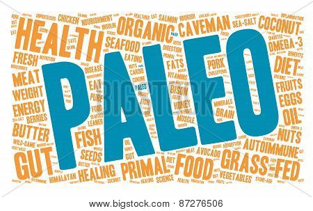 Paleo Word Cloud