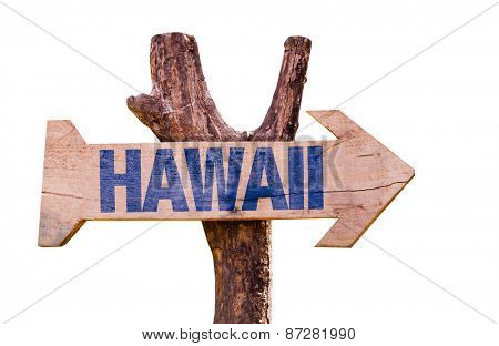Hawaii sign isolated on white background