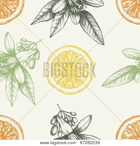 Citrus Seamless Pattern With Orange Fruits And Flowers