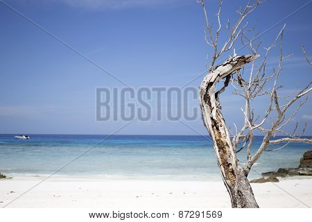 Beach Of Tachai Island, Similan National Park, Thailand