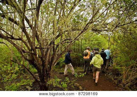 Group of unidentified tourists hiking in the Redhill Giant Tortoise Breeding Center, San Cristobal I