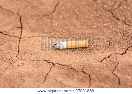 Cigarette Carelessly Thrown Into Red Soi