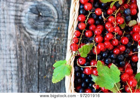 Little basket with redcurrant and blackberries on the old wooden table