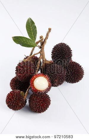 pulasan  thick skin or wild rambutan on the white background