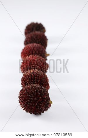 pulasan  thick skin or wild rambutan on the white background