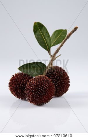 pulasan  thick skin or wild rambutan on the white background