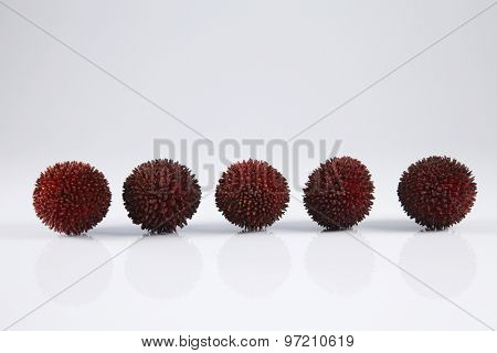 pulasan  thick skin or wild rambutan on the white background