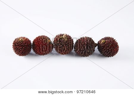 pulasan  thick skin or wild rambutan on the white background