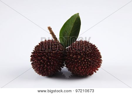 pulasan  thick skin or wild rambutan on the white background