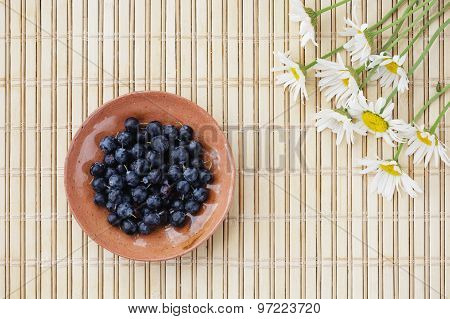 Blueberries and flowers