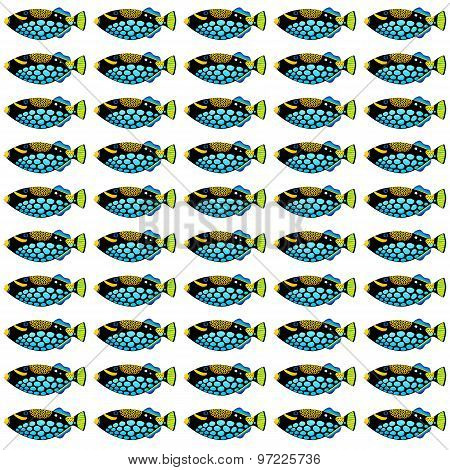 Clown Triggerfish Pattern