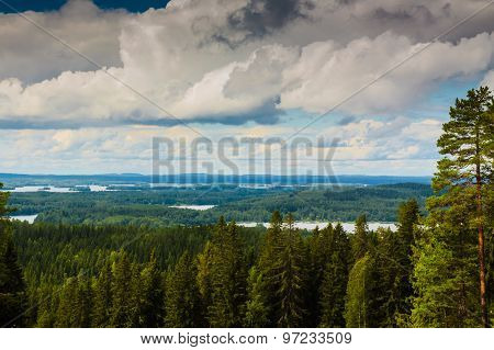 View From Puijo
