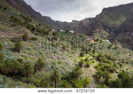 Masca Village