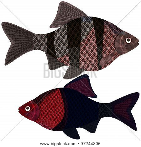 Exotic Aquarium Fish.