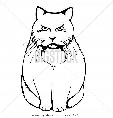 Angry Sad Cat Abstraction