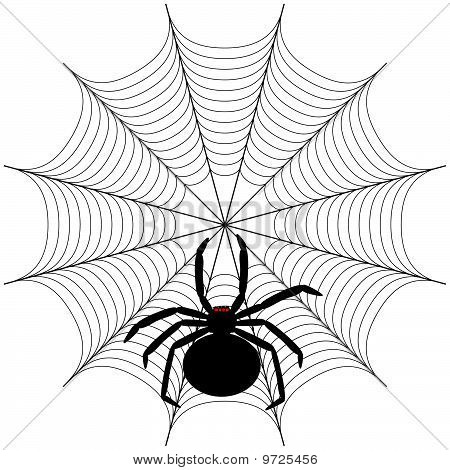 Araña
