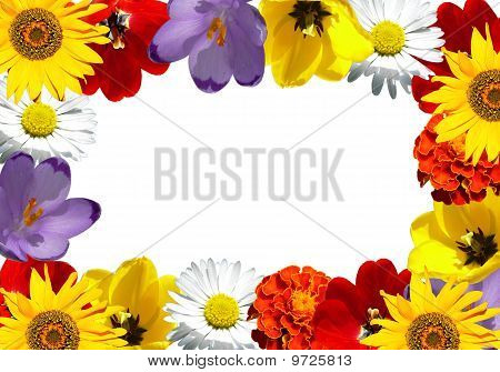 Cadre de fleur