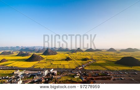 Beautiful landscape rapeseed field or canola flower field in spring, Luoping in China