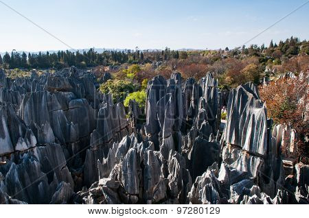Stone forest in spring in Kunming, China