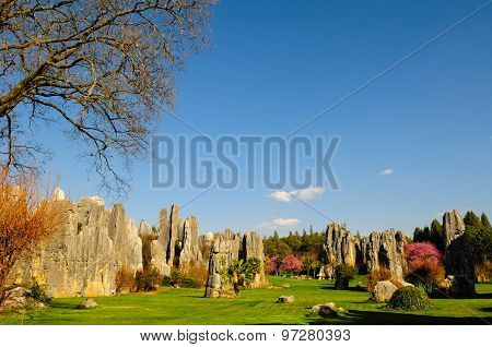 Stone forest in spring in Kunming, China