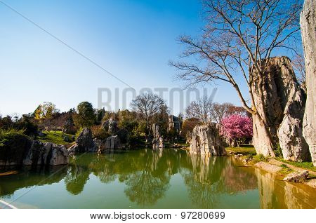 Stone forest in spring in Kunming, China