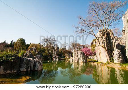 Stone forest in spring in Kunming, China