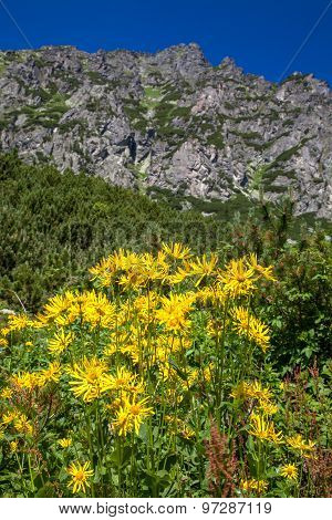 High Tatras, Slovakia