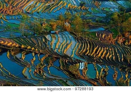 Terraced rice field in water season in YuanYang, China