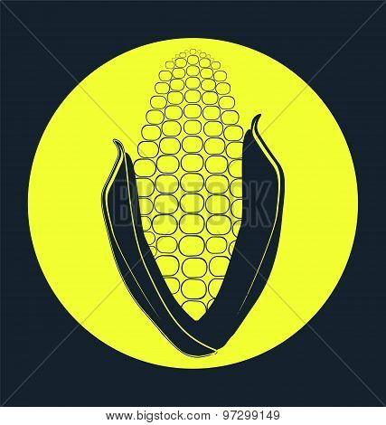 Ear Of Corn, Plant Yellow Concept