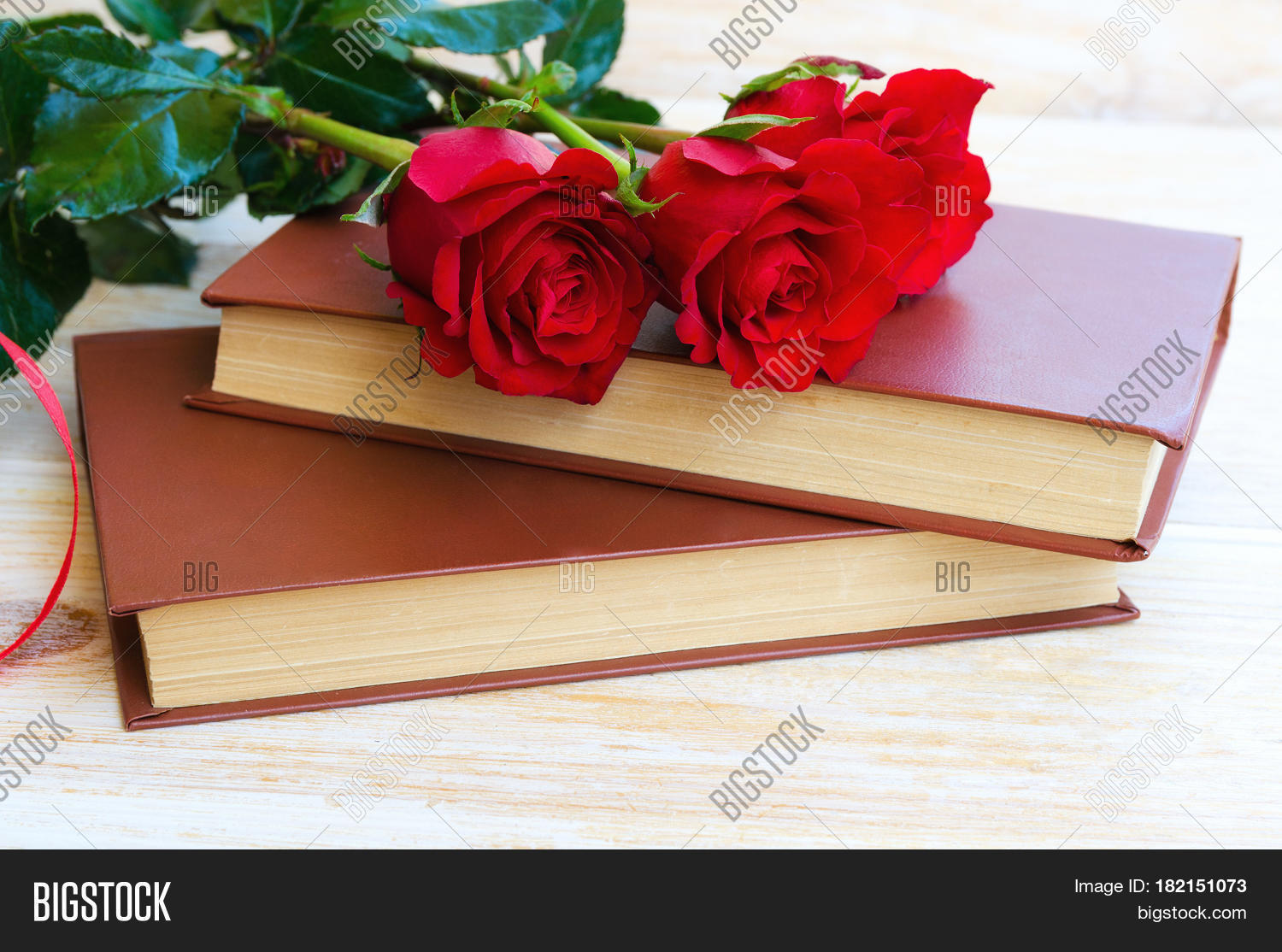 Rose Book Traditional Image & Photo (Free Trial) | Bigstock