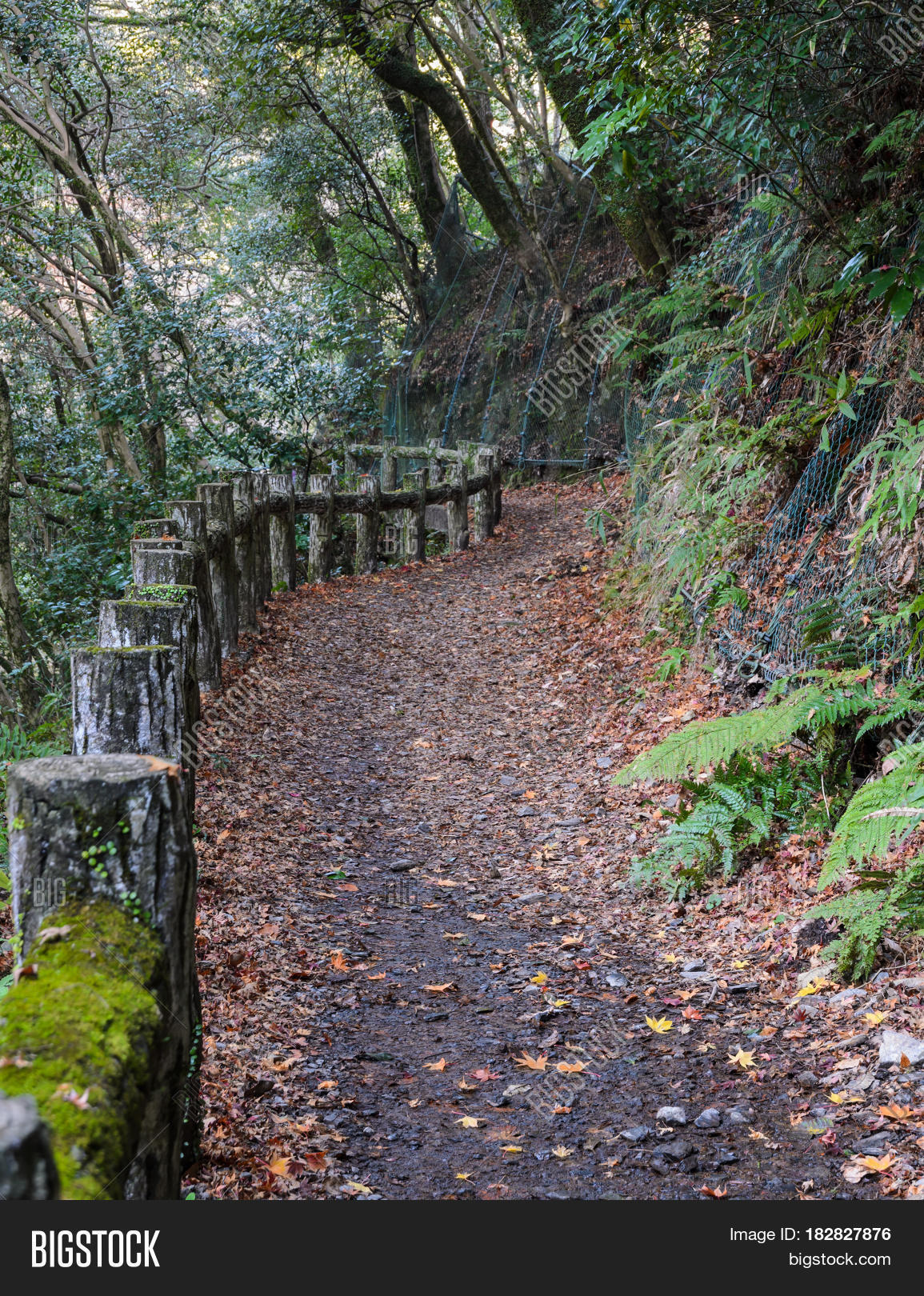 Hinking Trail Minoo Image & Photo (Free Trial) | Bigstock