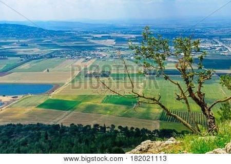 Jezreel Valley Landscape, Viewed From Mount Precipice