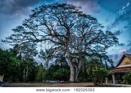 The area of Wat Khu Tao Mae Tom Bang Klam Songkhla Thailand