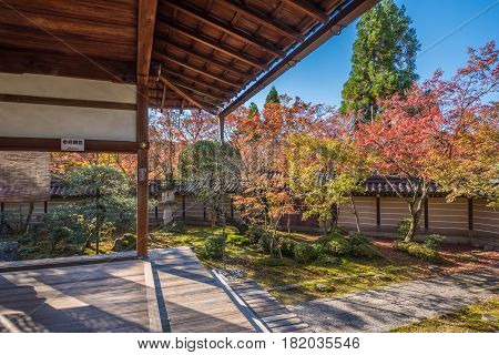 Kyoto Japan - November 27 2015 : The japan garden at Eikando temple in autumn.Eikando temple is one of the most popular tourist at Kyoto in high season ( Momiji) Kyoto Japan.