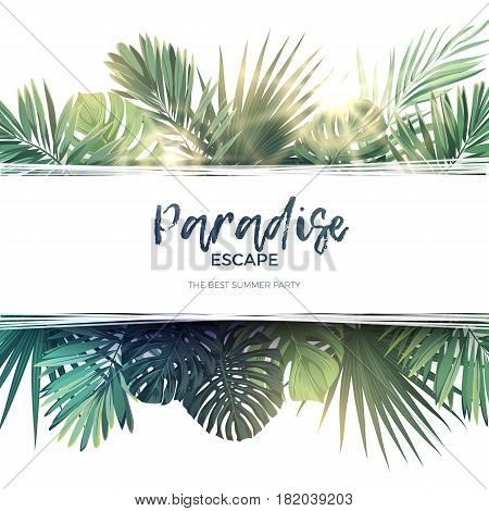 Green summer tropical background with exotic palm leaves and plants. Floral background, vector illustration.