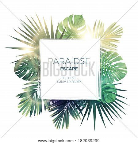 Green summer tropical background with exotic palm leaves and plants. Floral background, vector illustration.