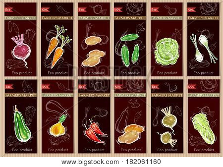 Vegetable seeds packets template. Eco vintage foods. Sketch vegetable banners set. Natural vegetables seeds in packets hand drawn vector