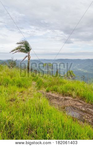 Morro Do Gaucho Mountain Landscape
