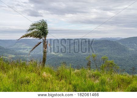 Morro Do Gaucho Mountain Landscape
