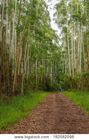 Trekking In Morro Do Gaucho Mountain Landscape